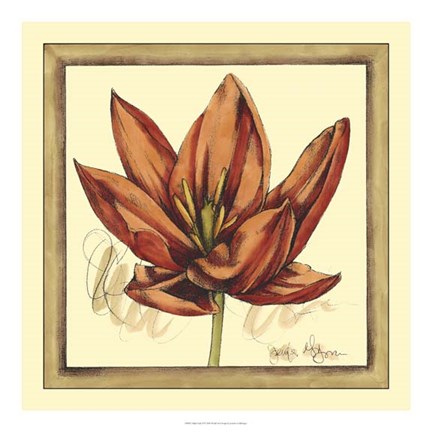 Framed Tulip Study II Print