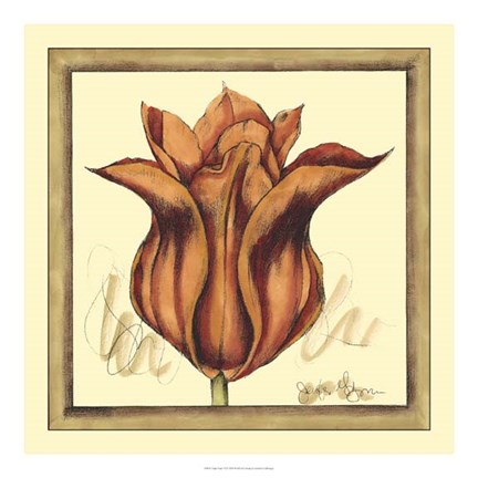 Framed Tulip Study VI Print