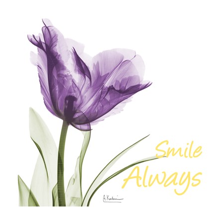 Framed Smile Always Tulip Print