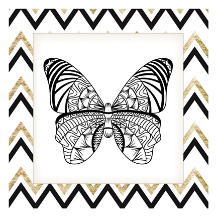 Framed Zig Zag Butterfly 3 Print