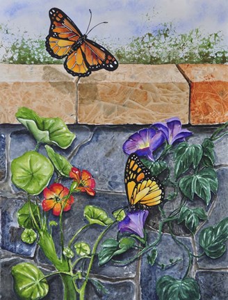 Framed Monarchs, Nasturtiums and Morning Glories Print