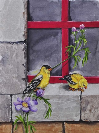 Framed Gold Finches Print