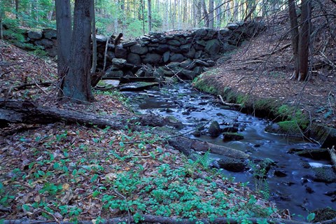 Framed Banks of Lamprey River, National Wild and Scenic River, New Hampshire Print