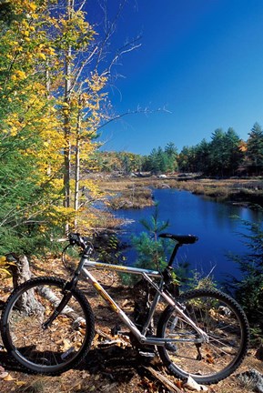 Framed Mountain Bike at Beaver Pond in Pawtuckaway State Park, New Hampshire Print
