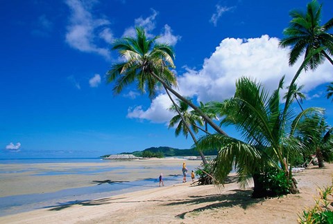 Framed Beach at Musket Cove, Malololailai Island, Fiji Print