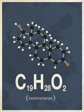 Framed Molecule Testosterone - Navy Print