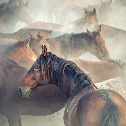 Framed Tired Horses Print