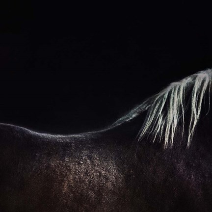 Framed Naked Horse Print