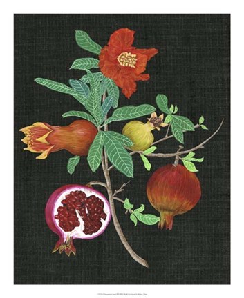 Framed Pomegranate Study II Print