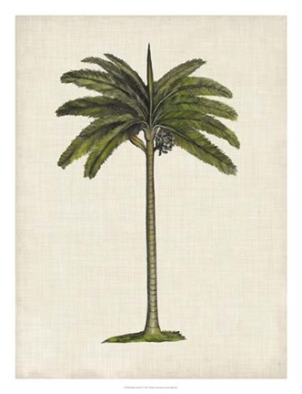 Framed British Palms IV Print