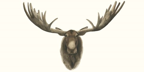 Framed Moose Bust Print