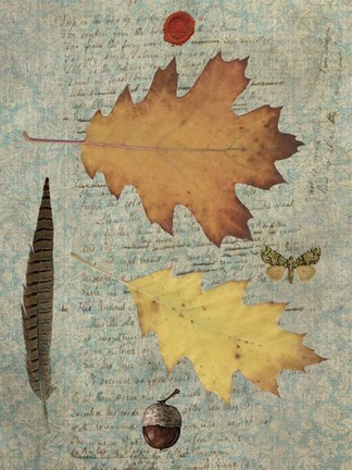 Framed Autumn Leaf III Print