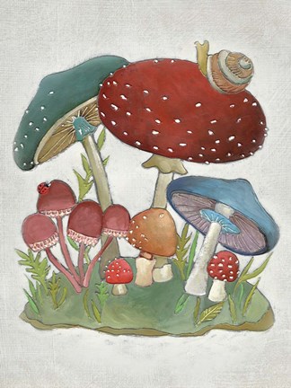 Framed Mushroom Collection I Print