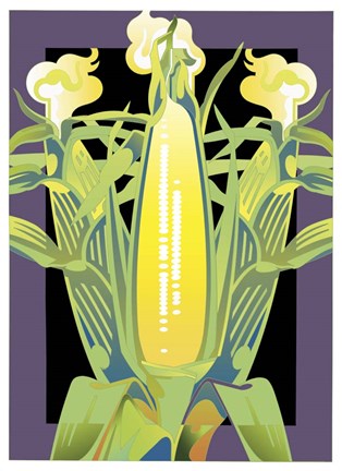 Framed Corn Print