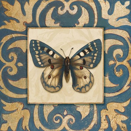 Framed Moroccan Butterfly I Print
