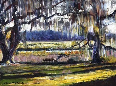 Framed Lowcountry Spanish Moss Escape Print