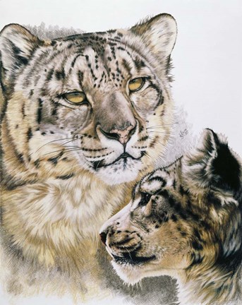 Framed Panthera Uncia Print