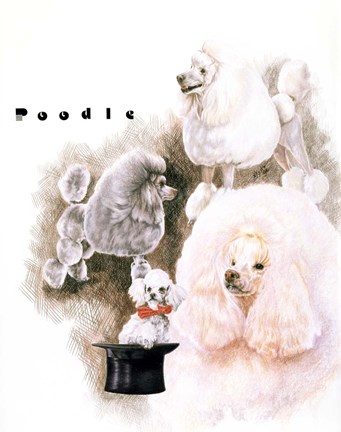 Framed Poodle 2 Print