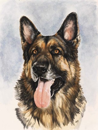 Framed German Shepherd Print