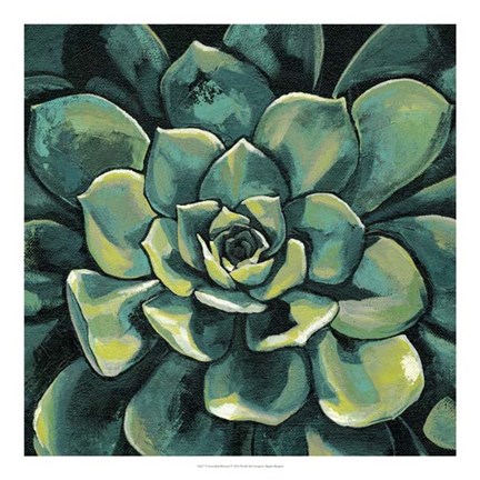 Framed Succulent Bloom I Print