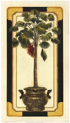 Framed Peaceful Palm II Print