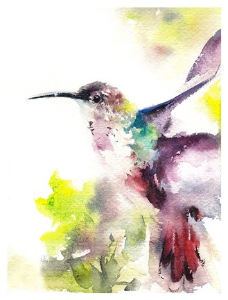 Framed Hummingbird Print