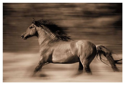 Framed Wind Runner Print