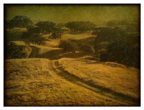 Framed Ranch Road and Oak Savannah Print