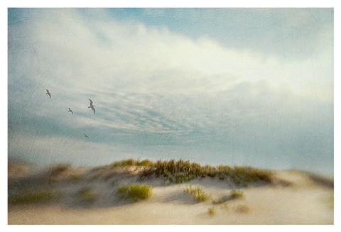 Framed Dunes 1 Print