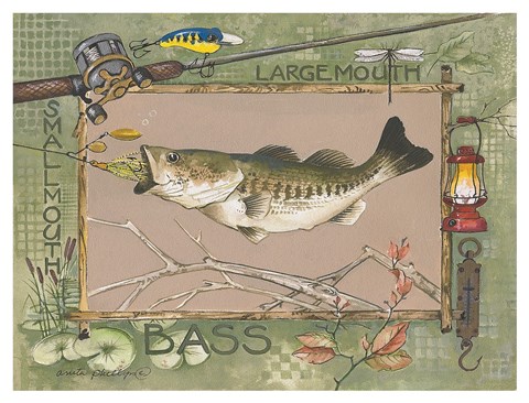 Framed Large Mouth Bass Print