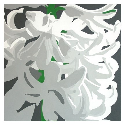 Framed White Hyacinth Print
