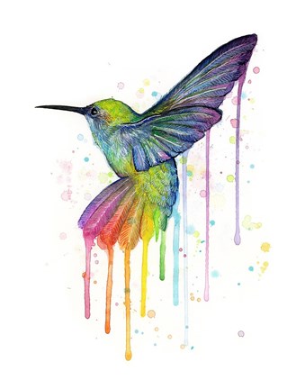 Framed Rainbow Hummingbird Print
