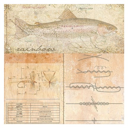 Framed Rainbow Trout Print