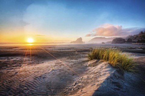 Framed Dunes On The Pacific Coastline Print