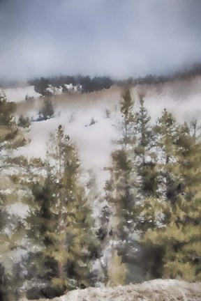 Framed Winter Impressions In Colorado 3 Print