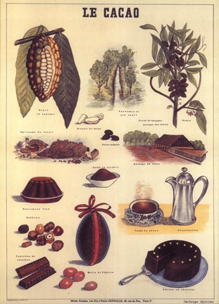 Framed Cacao Print