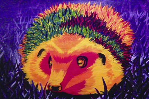 Framed Colorful Hedgehog Print