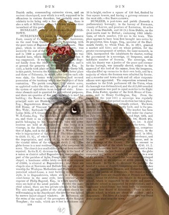 Framed English Bulldog Ice Cream Print