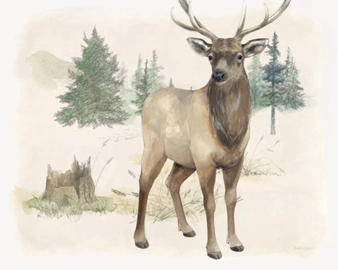 Framed Wilderness Collection Elk Print