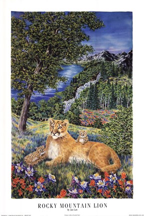 Framed Colorado Mountain Lion Print