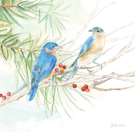 Framed Winter Birds III Bluebirds Print