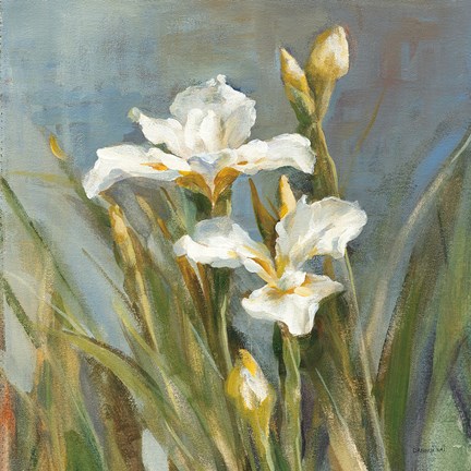 Framed Spring Iris II Print