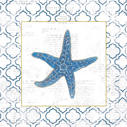 Framed Navy Starfish on Newsprint with Gold Print