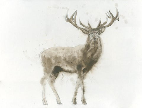 Framed Stag Print