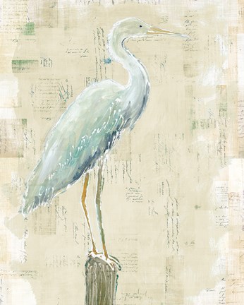 Framed Coastal Egret I v2 no Aqua Print