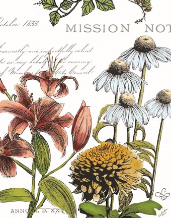 Framed Botanical Postcard Color II Print
