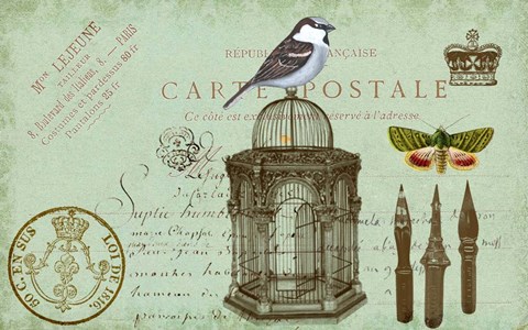 Framed Carte De Visit Bird Print