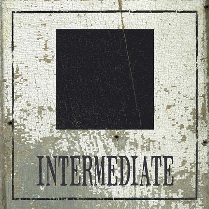 Framed Intermediate Square Print
