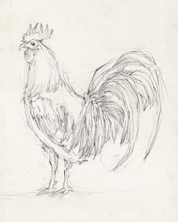 Framed Rooster Sketch II Print