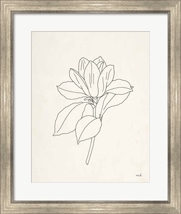 Framed Magnolia Line Drawing Print